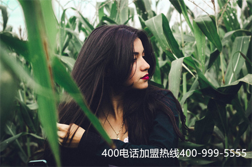 個人辦理400電話申請（400電話申請官網(wǎng)）